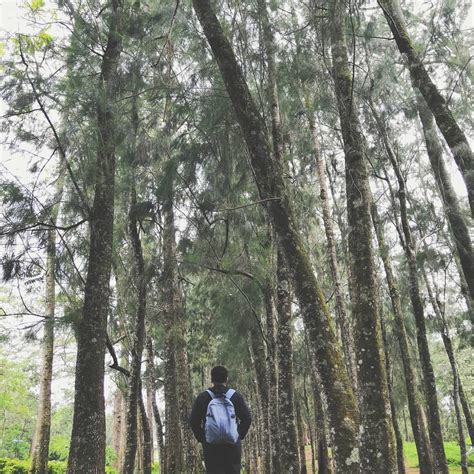 kinantot sa gubat|ANO ANG NAKITA KO SA GUBAT WALK TOUR SA MAYBUSH.